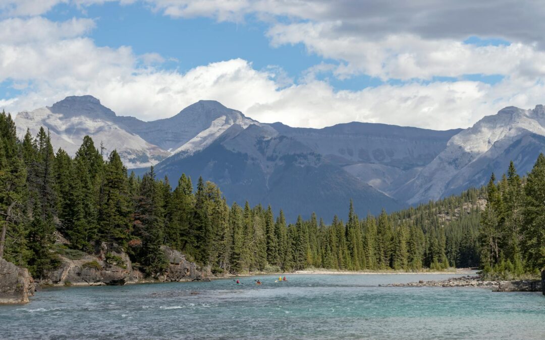 Enfócate en lo que importa de verdad