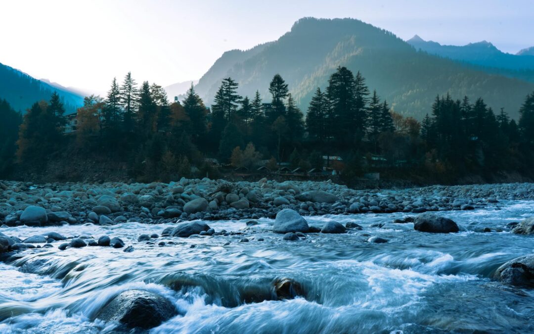 Él es digno de nuestra alabanza